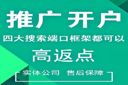 案例分享：竞价托管助力企业实现精准广告投放